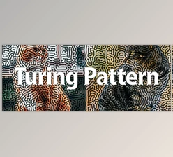 Download Aescripts Turing Pattern v1.1 (Win)