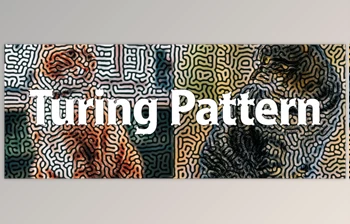 Download <span class='badge badge-warning'>Aescripts</span> Turing Pattern v1.1 (<span class='badge badge-warning'>Win</span>)