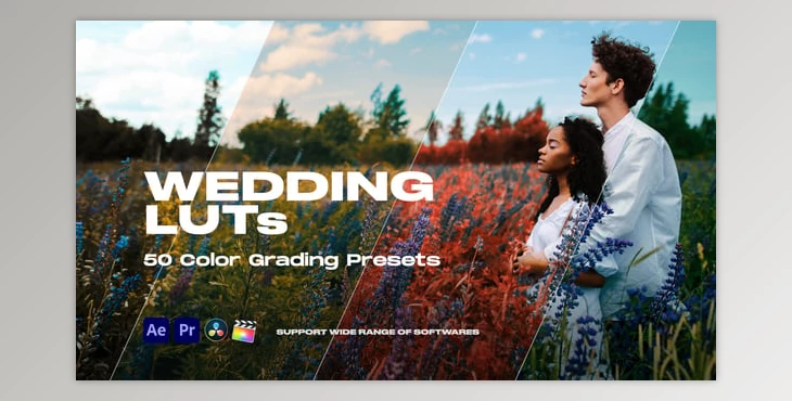Download Colorify Wedding LUTs (Videohive 35877709) - PR Project