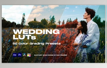 Download Colorify Wedding <span class='badge badge-warning'>LUTs</span> (<span class='badge badge-warning'>Videohive</span> 35877709) - PR Project
