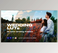 Download Colorify Wedding LUTs (Videohive 35877709) - PR Project