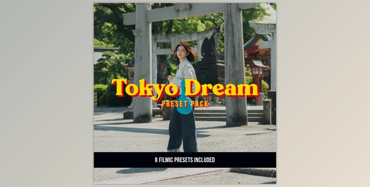 Download VG Studios Tokyo Dream Preset Pack