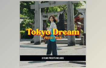 Download VG Studios Tokyo Dream Preset Pack