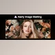 Download Digiarty AIArty Image Matting v2.7 (Win, Mac)