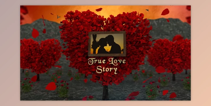 Download Love Story Slideshow (Videohive 50501299) - PR Project