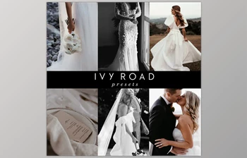 Download Ivy Road Presets <span class='badge badge-warning'>Bundle</span>