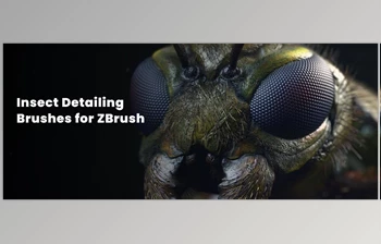 Download Zbrushguides - Insect Detailing Brushes for <span class='badge badge-warning'>ZBrush</span>
