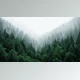 Download Gumroad - Wolf Studio Art All Blender Collections