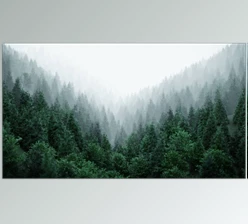 Download Gumroad - Wolf Studio Art All Blender Collections