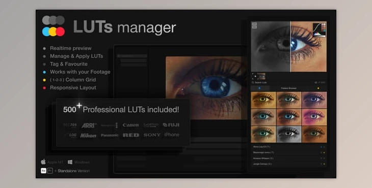 Download LUTs Manager: Preview LUTs In Real-time Tool & 500 Professional LUTs (Videohive 55855580) - PR Project