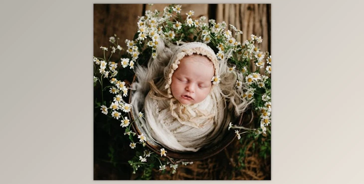 Download Twig & Olive - Floral Matte LR