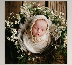 Download Twig & Olive - Floral Matte LR