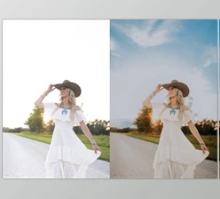 Download Lemon And Lace Presets - AI Lemon Twist
