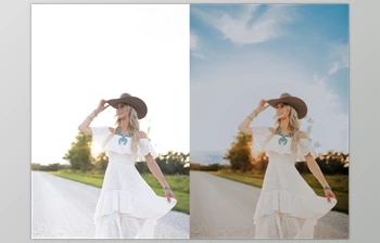 Download Lemon And Lace Presets - AI Lemon Twist