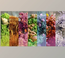 Download Blender Market - Mossify