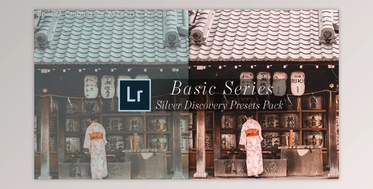 Download Leica-Review - Basic Silver Discovery Lightroom Presets
