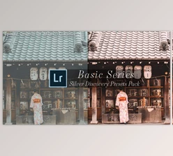 Download Leica-Review - Basic Silver Discovery Lightroom Presets