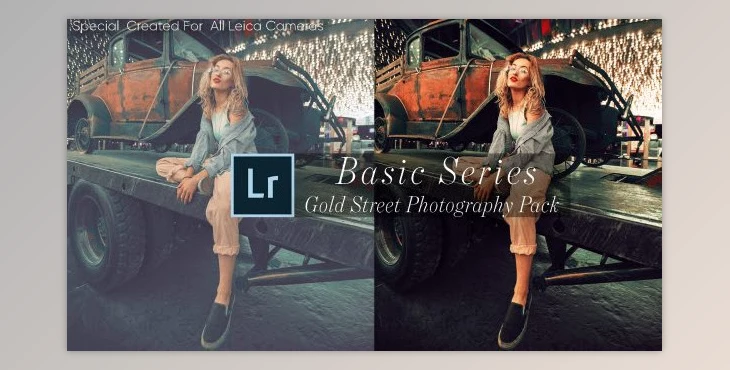 Download Leica-Review - Basic Gold Street Photography Presets