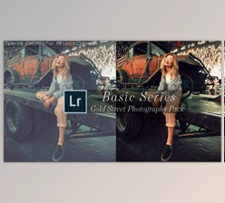 Download Leica-Review - Basic Gold Street Photography Presets