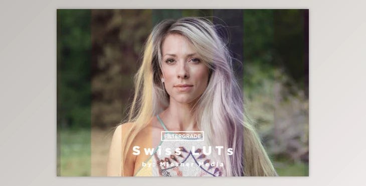 Download Theo Miesner Swiss Video LUTs