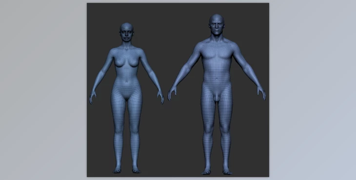 Download Gumroad - Pro Male and Female Basemesh 45K