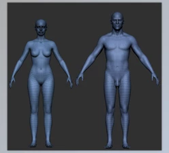 Download Gumroad - Pro Male and Female Basemesh 45K