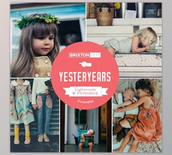Download Yesteryears Lightroom Presets – Desktop & Mobile