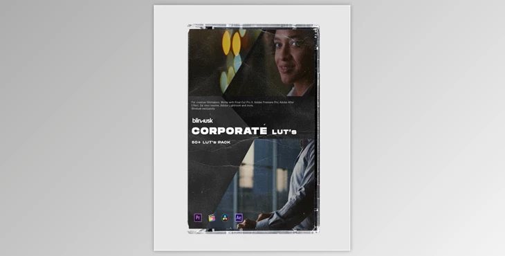 Download Blindusk - Corporate LUTs