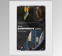 Download Blindusk - Corporate LUTs