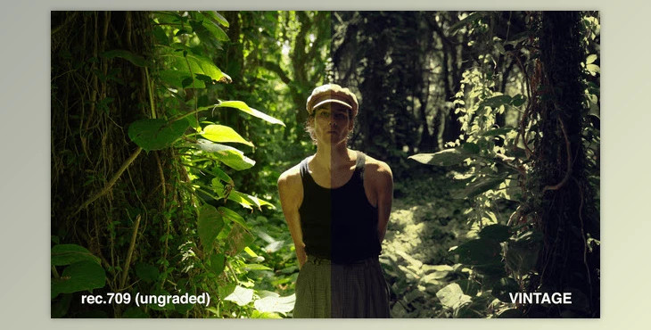 Danny Gevirtz - Download Creative Filmmaking Luts