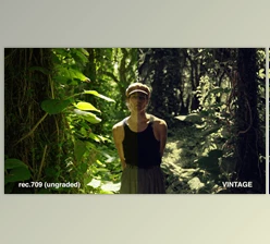 Danny Gevirtz - Download Creative Filmmaking Luts