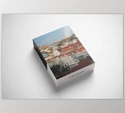Stalman - Download Lumix LUTs