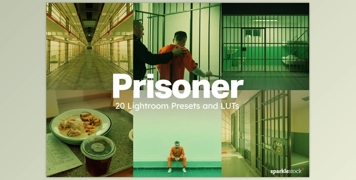 Artstation - Download 20 Prisoner LUTs & Lightroom Presets
