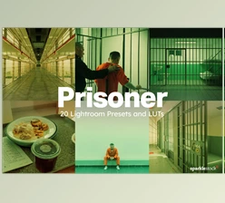 Artstation - Download 20 Prisoner LUTs & Lightroom Presets