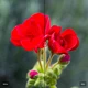Cobalt Image - Download The Base Pack for Adobe v3 (for Canon EOS R)