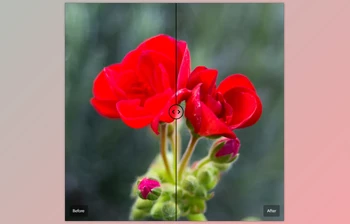 Cobalt Image - Download The Base Pack for <span class='badge badge-warning'>Adobe</span> v3 (for Canon EOS R)