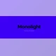 Myfonts - Download Monolight Font Family