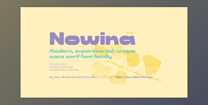 Myfonts - Download Nowina Font Family