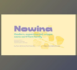 Myfonts - Download Nowina Font Family