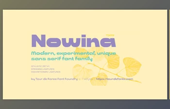 Myfonts - Download Nowina <span class='badge badge-warning'>Font</span> Family