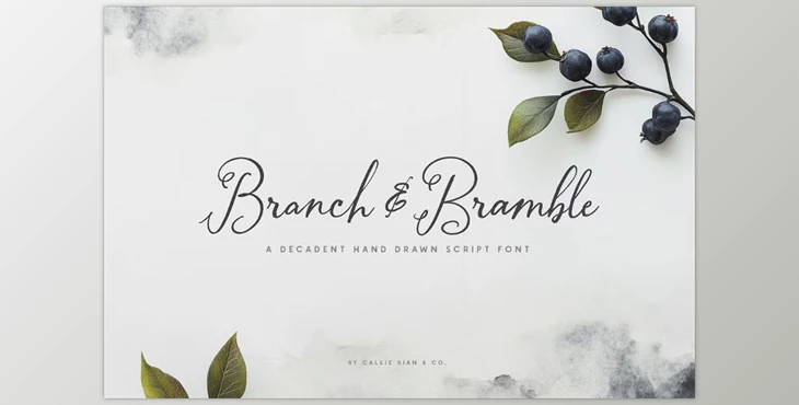 Download Branch & Bramble Calligraphy Font (CreativeMarket 291206359)