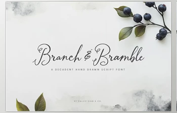 Download Branch & Bramble Calligraphy <span class='badge badge-warning'>Font</span> (CreativeMarket 291206359)