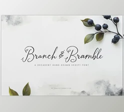 Download Branch & Bramble Calligraphy Font (CreativeMarket 291206359)