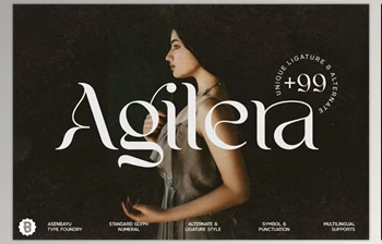 Download Agilera - Stylish Ligature <span class='badge badge-warning'>Font</span> (Creativemarket 281789023)
