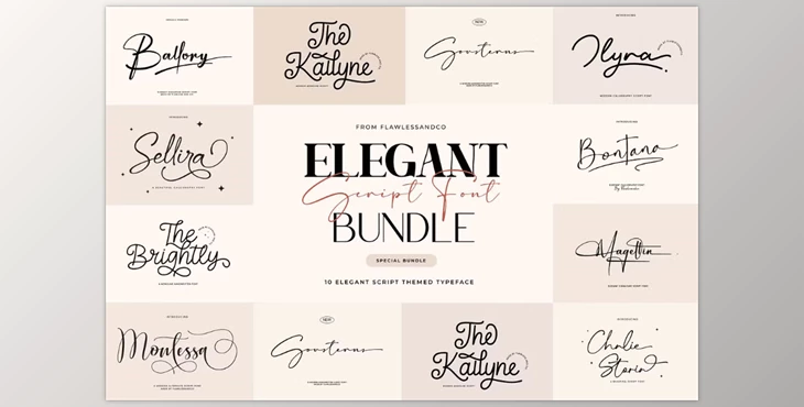 Download Elegant Script Font Bundle - 10 Premium Typefaces (CreativeMarket 92431633) 