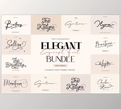 Download Elegant Script Font Bundle - 10 Premium Typefaces (CreativeMarket 92431633) 