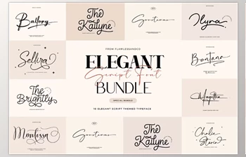 Download Elegant Script Font <span class='badge badge-warning'>Bundle</span> - 10 Premium Typefaces (CreativeMarket 92431633) 