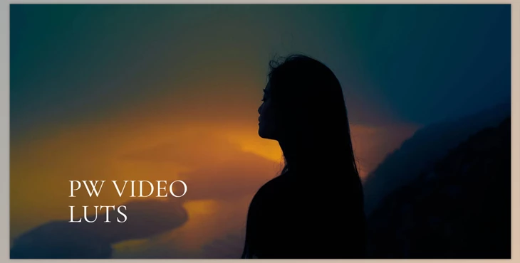Polina Washington - Download PW VIDEO LUTS