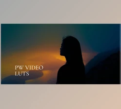 Polina Washington - Download PW VIDEO LUTS