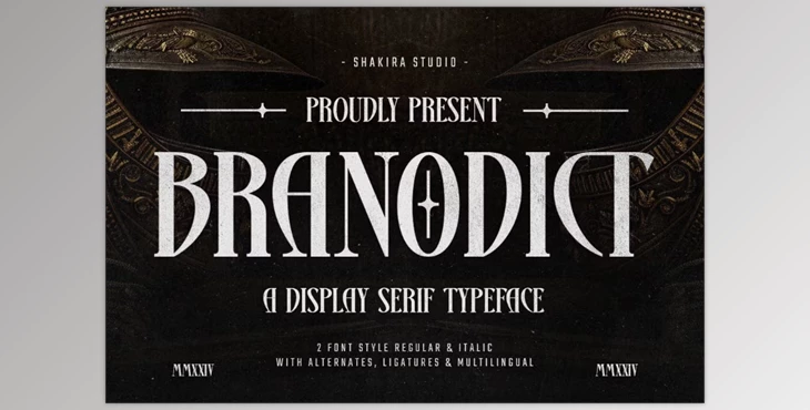 Download Branodict - Modern Display Serif (CreativeMarket 291291893)